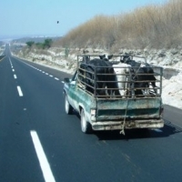 /file/gallery/582-gagzho9ruj-570-8589xzm4mr-foto-m-107.jpg