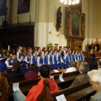 /file/gallery/708-xdl4v88bnm-foto-p1080595.jpg