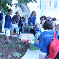 /file/gallery/908-5c4wpec6oc-img-5207-pizza-2.jpg